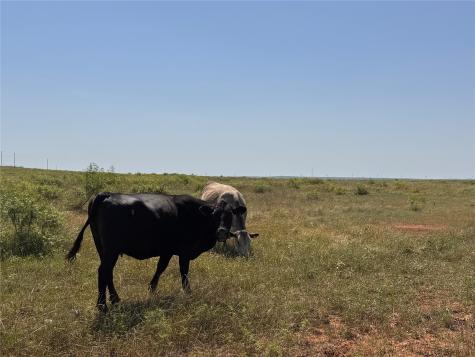 Lot 30 High Plains Trail Bellevue TX 76228