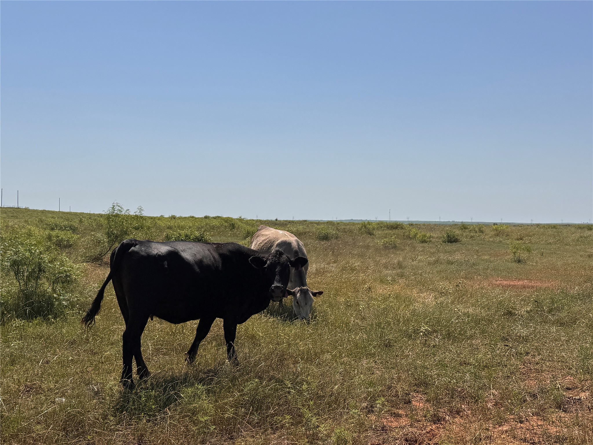 Lot 30 High Plains Trail Bellevue TX 76228