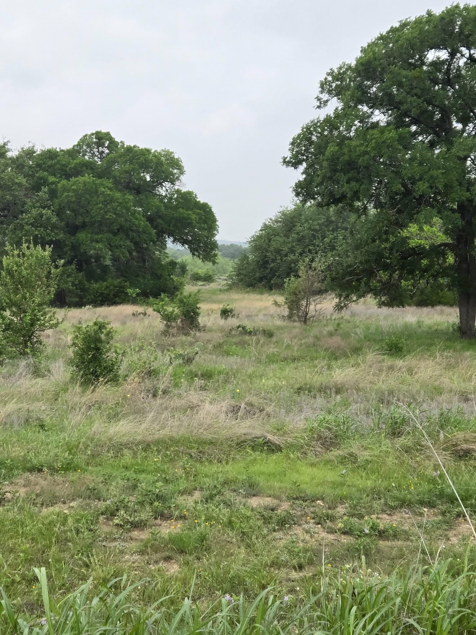 Tbd Yosemite Drive Oglesby TX 76561
