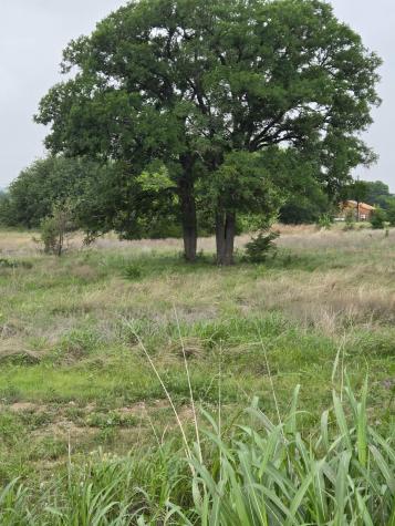 TBD Yosemite Drive Oglesby TX 76561