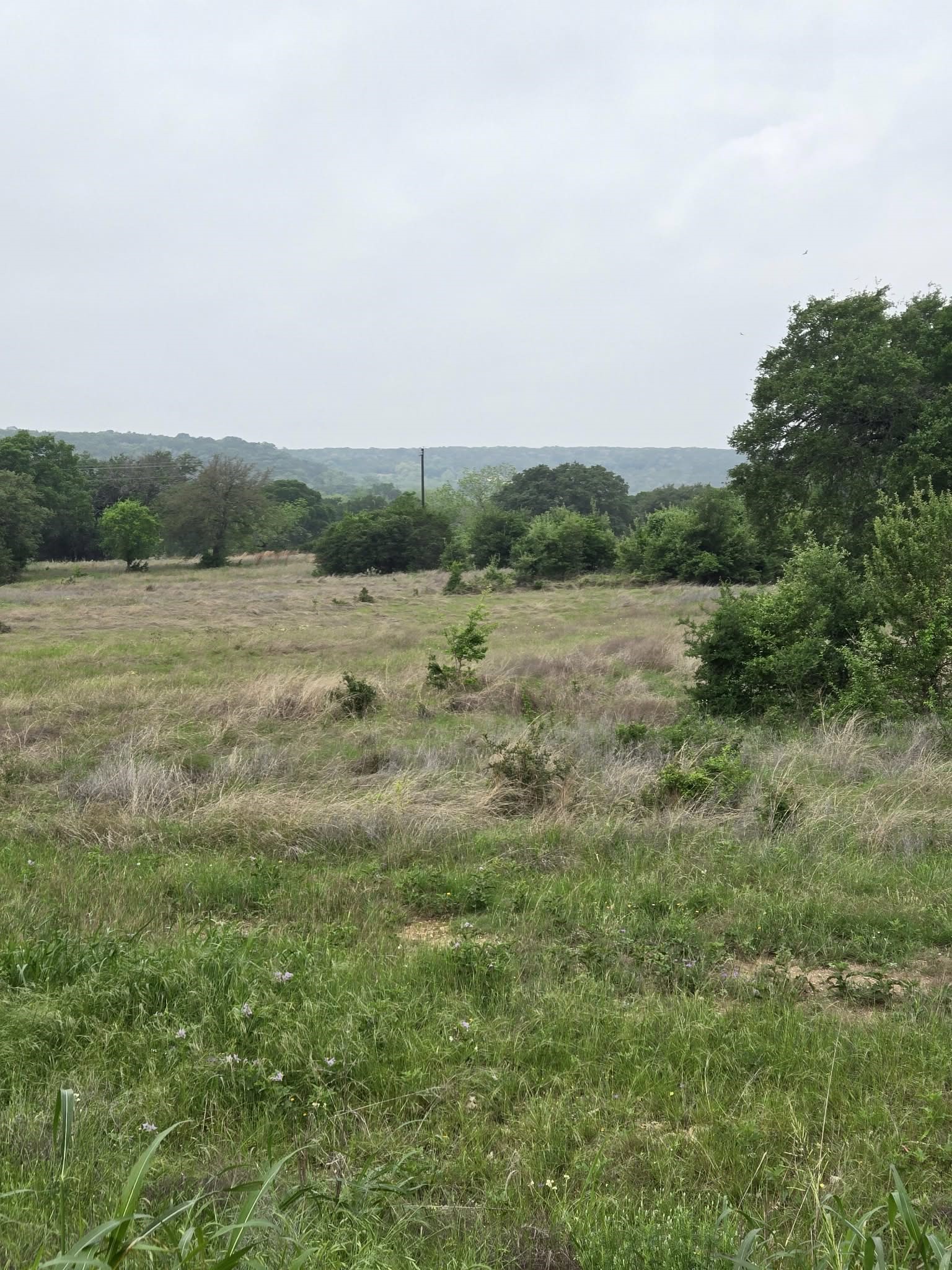 Tbd Yosemite Drive Oglesby TX 76561