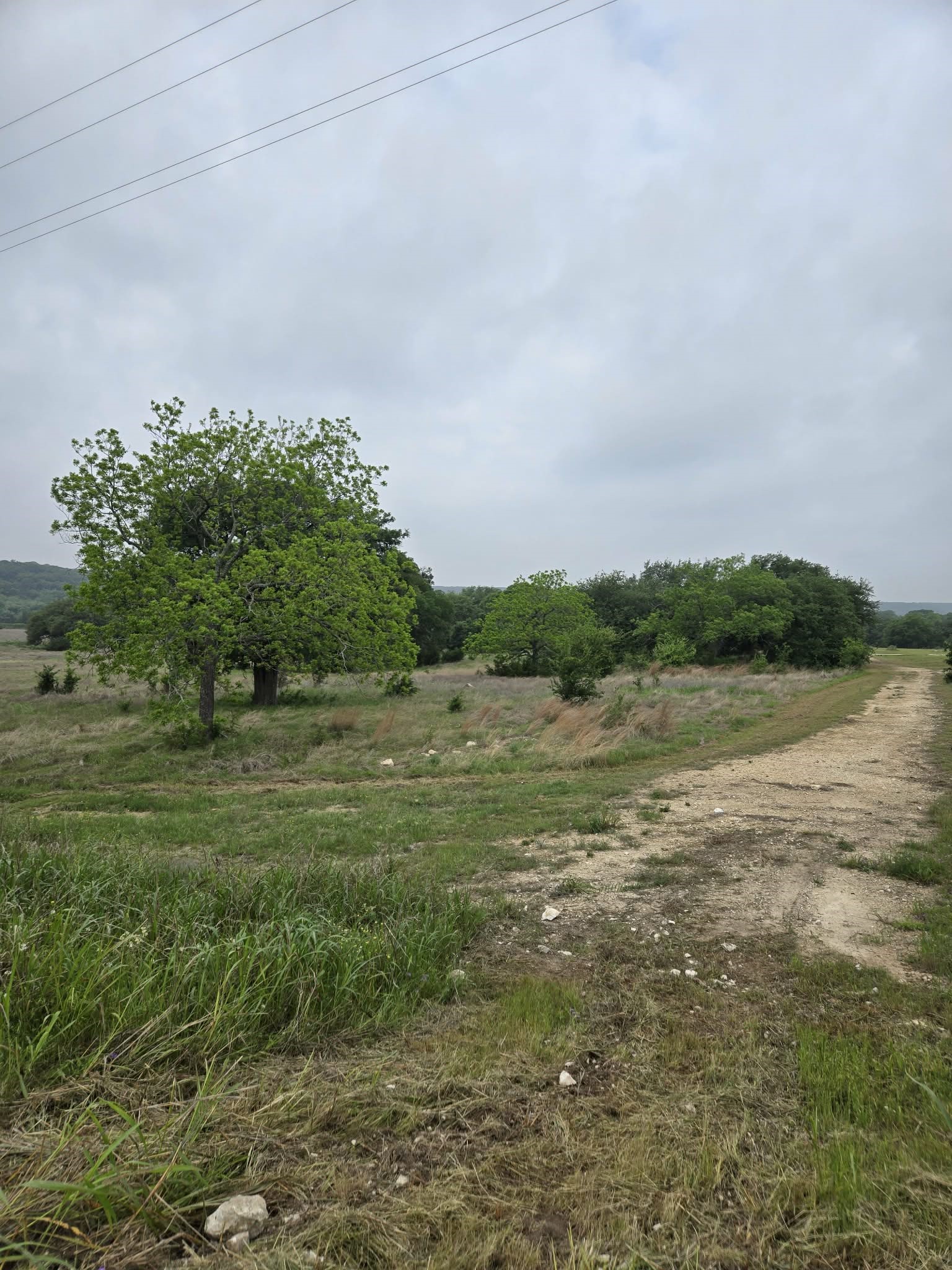 Tbd Yosemite Drive Oglesby TX 76561