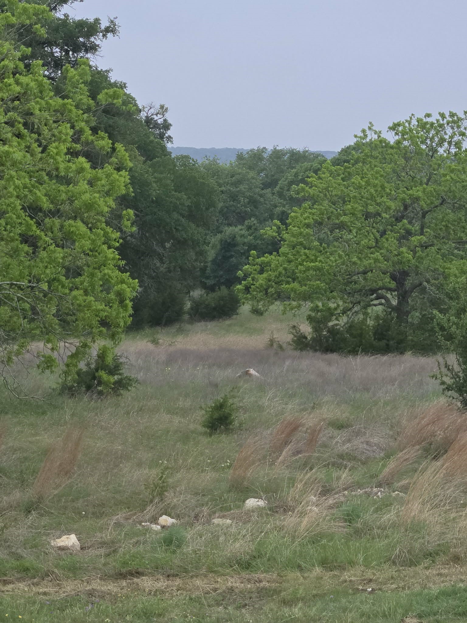Tbd Yosemite Drive Oglesby TX 76561