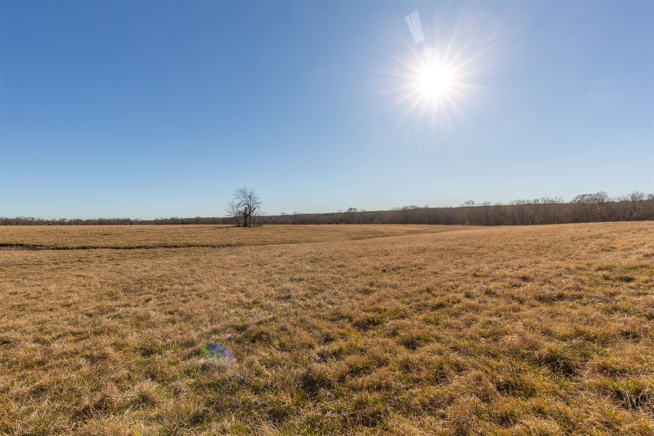 Tbd Highway 82 Clarksville TX 75426