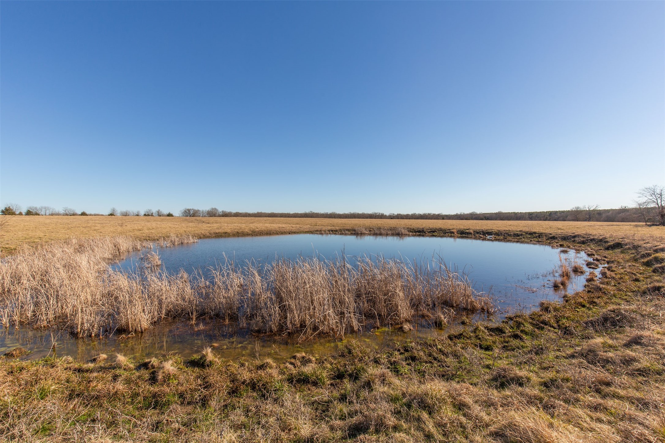 Tbd Highway 82 Clarksville TX 75426