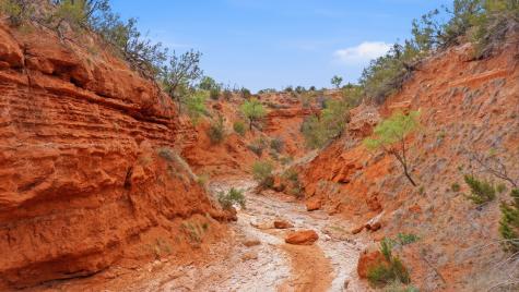 1245 County Road 349 Rotan TX 79546
