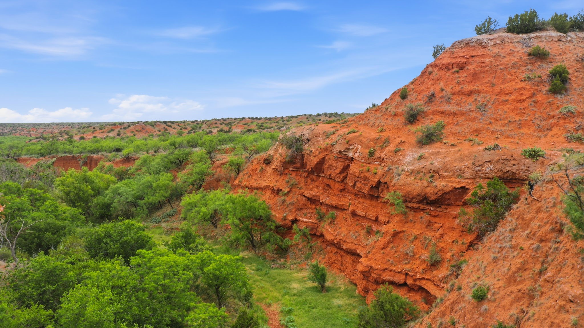 1245 County Road 349 Rotan TX 79546