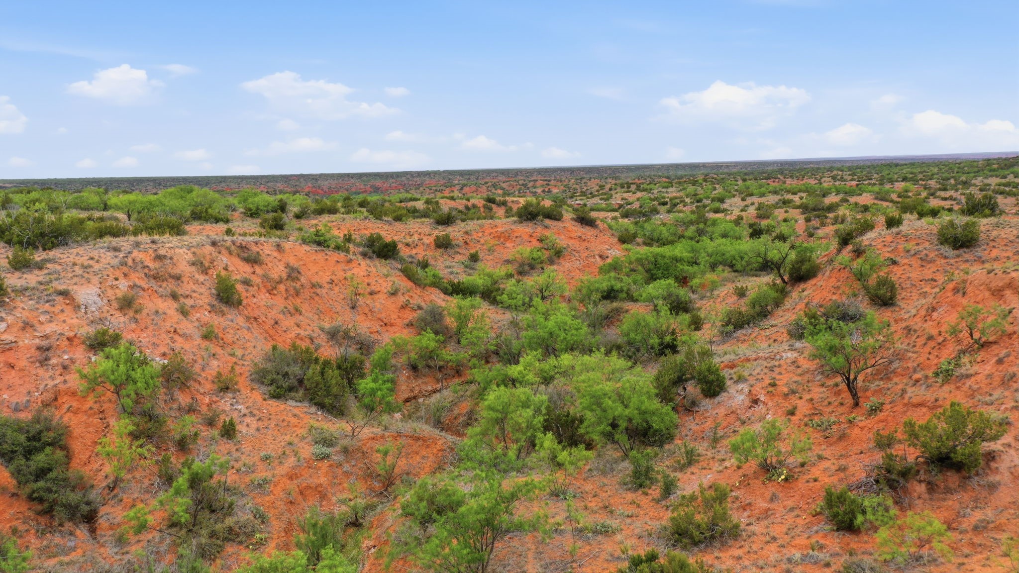 1245 County Road 349 Rotan TX 79546