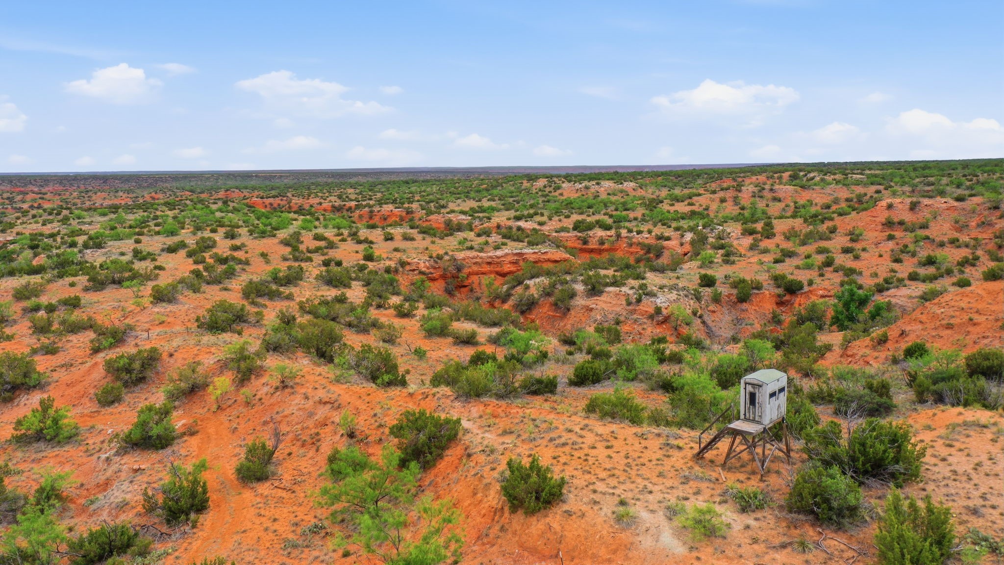 1245 County Road 349 Rotan TX 79546