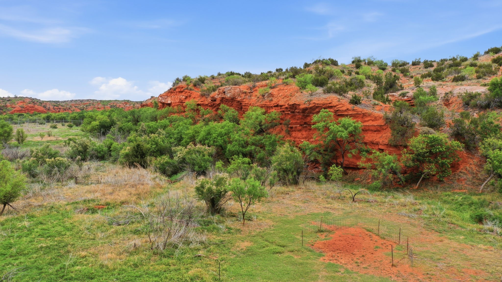 1245 County Road 349 Rotan TX 79546