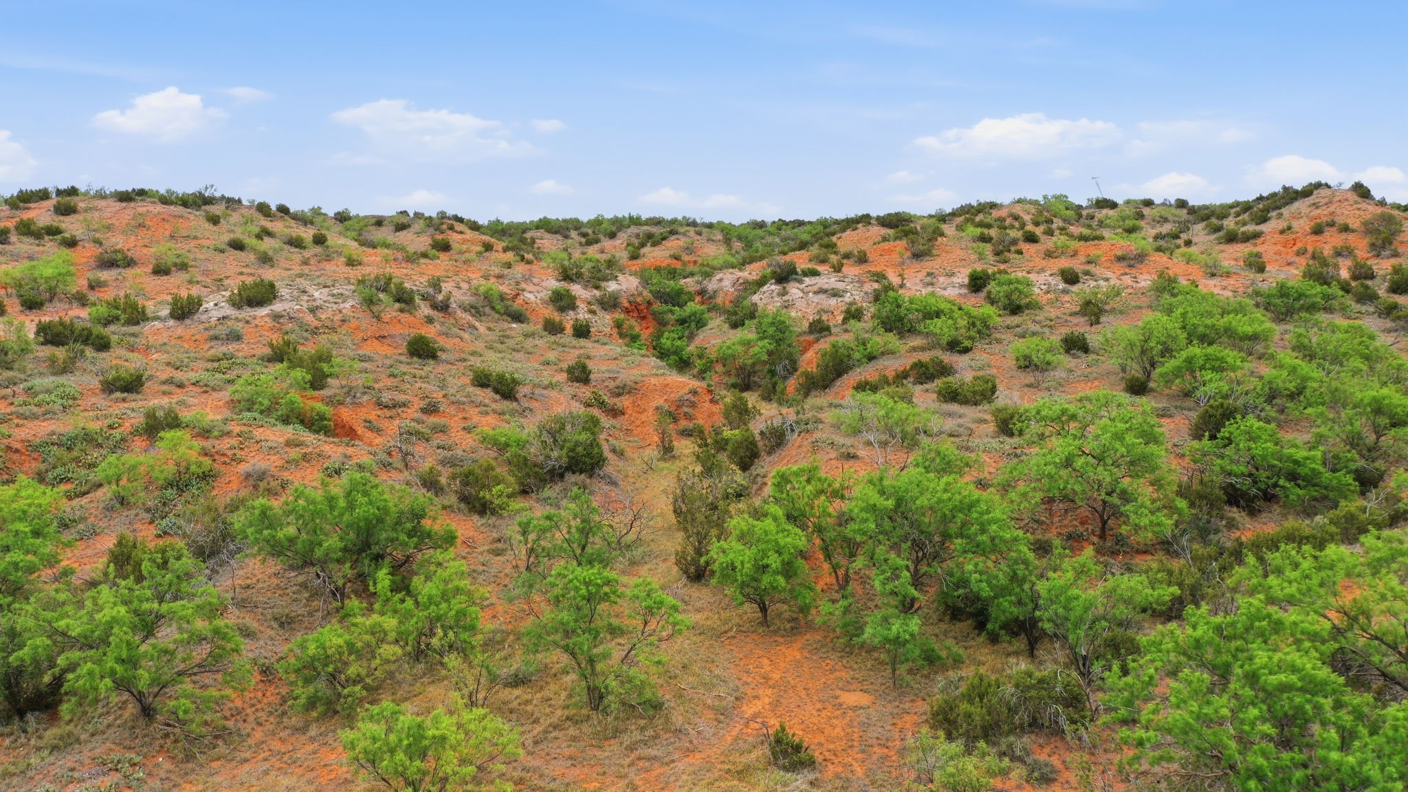 1245 County Road 349 Rotan TX 79546