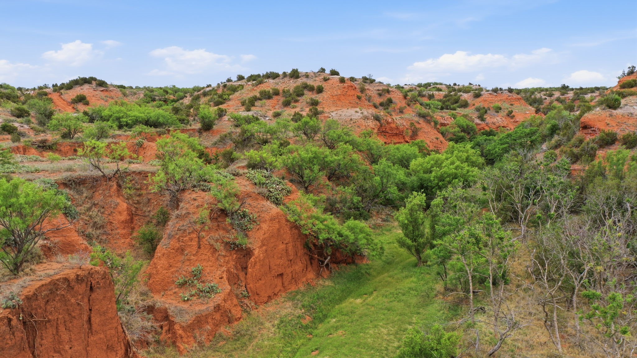 1245 County Road 349 Rotan TX 79546