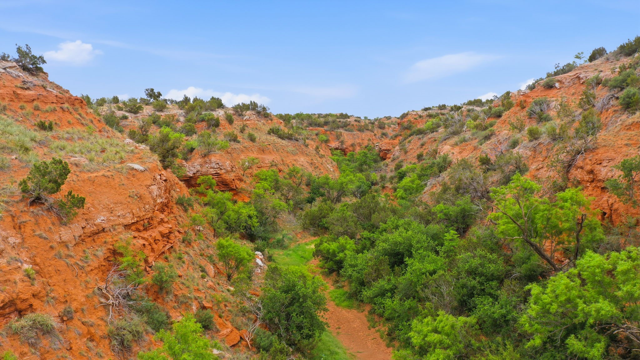 1245 County Road 349 Rotan TX 79546