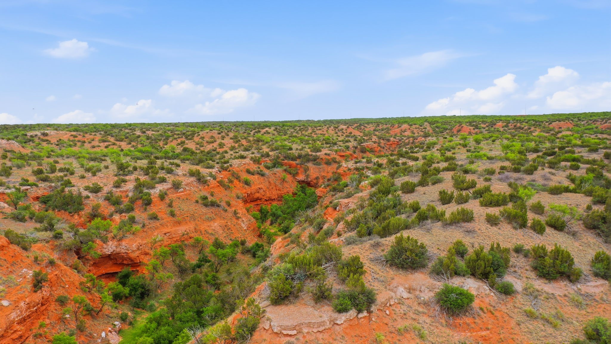 1245 County Road 349 Rotan TX 79546