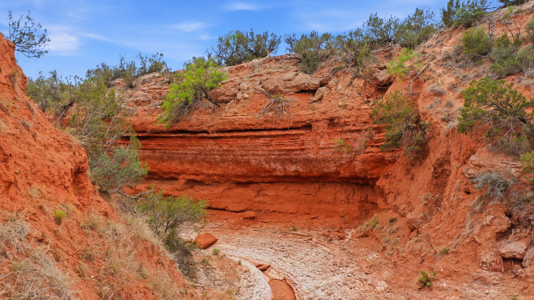 1245 County Road 349 Rotan TX 79546