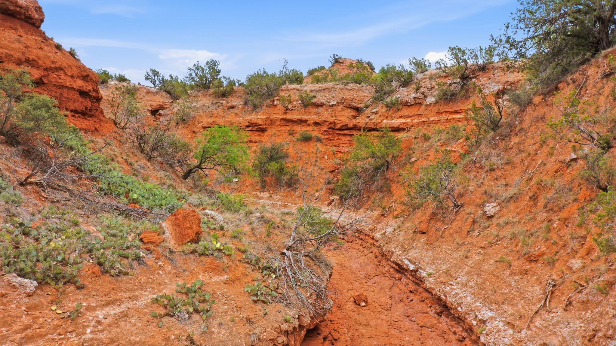1245 County Road 349 Rotan TX 79546
