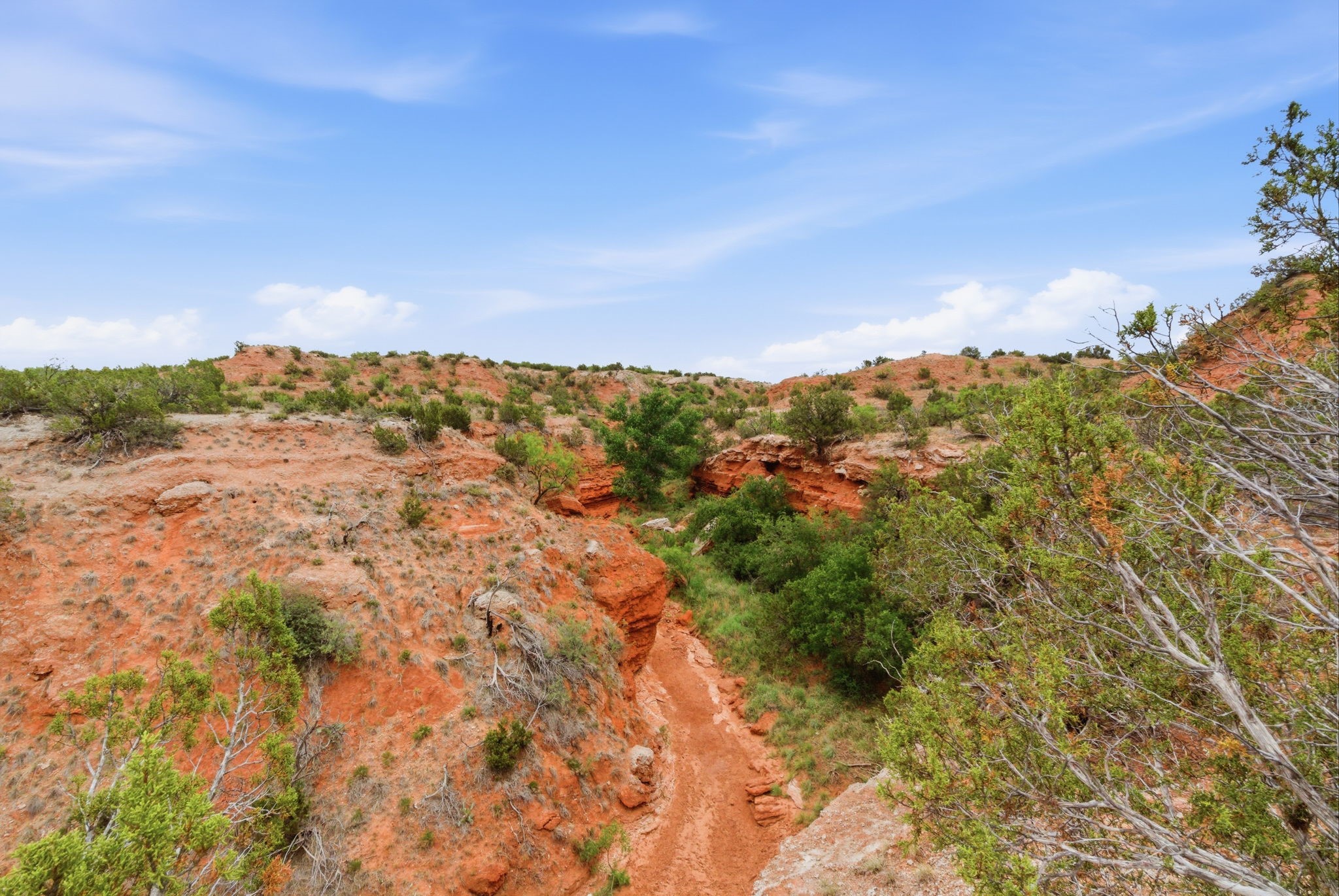 1245 County Road 349 Rotan TX 79546