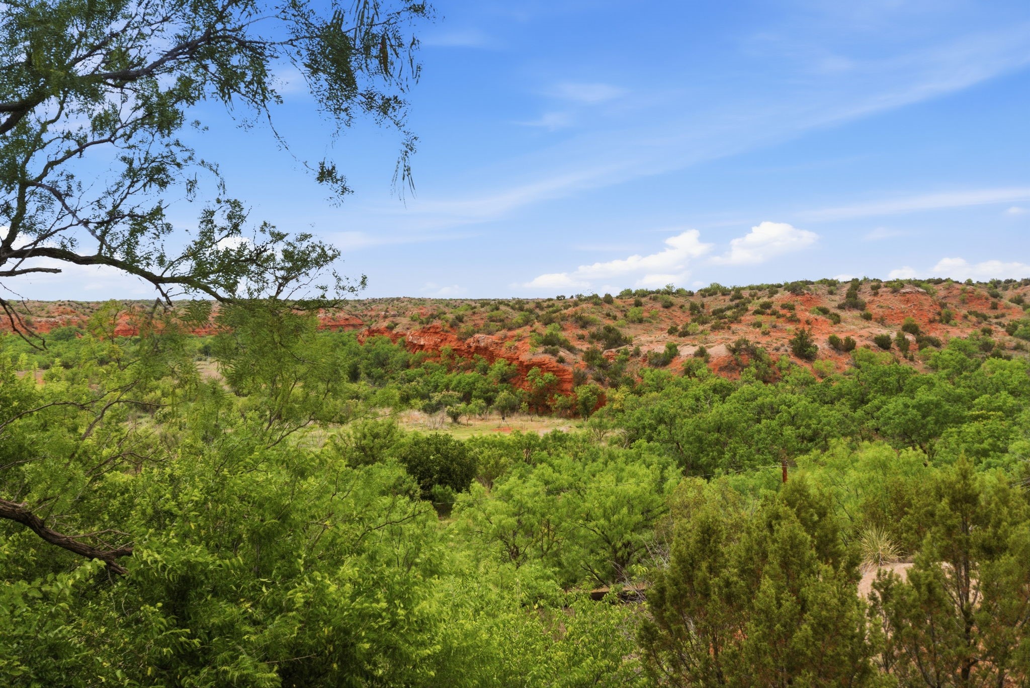 1245 County Road 349 Rotan TX 79546