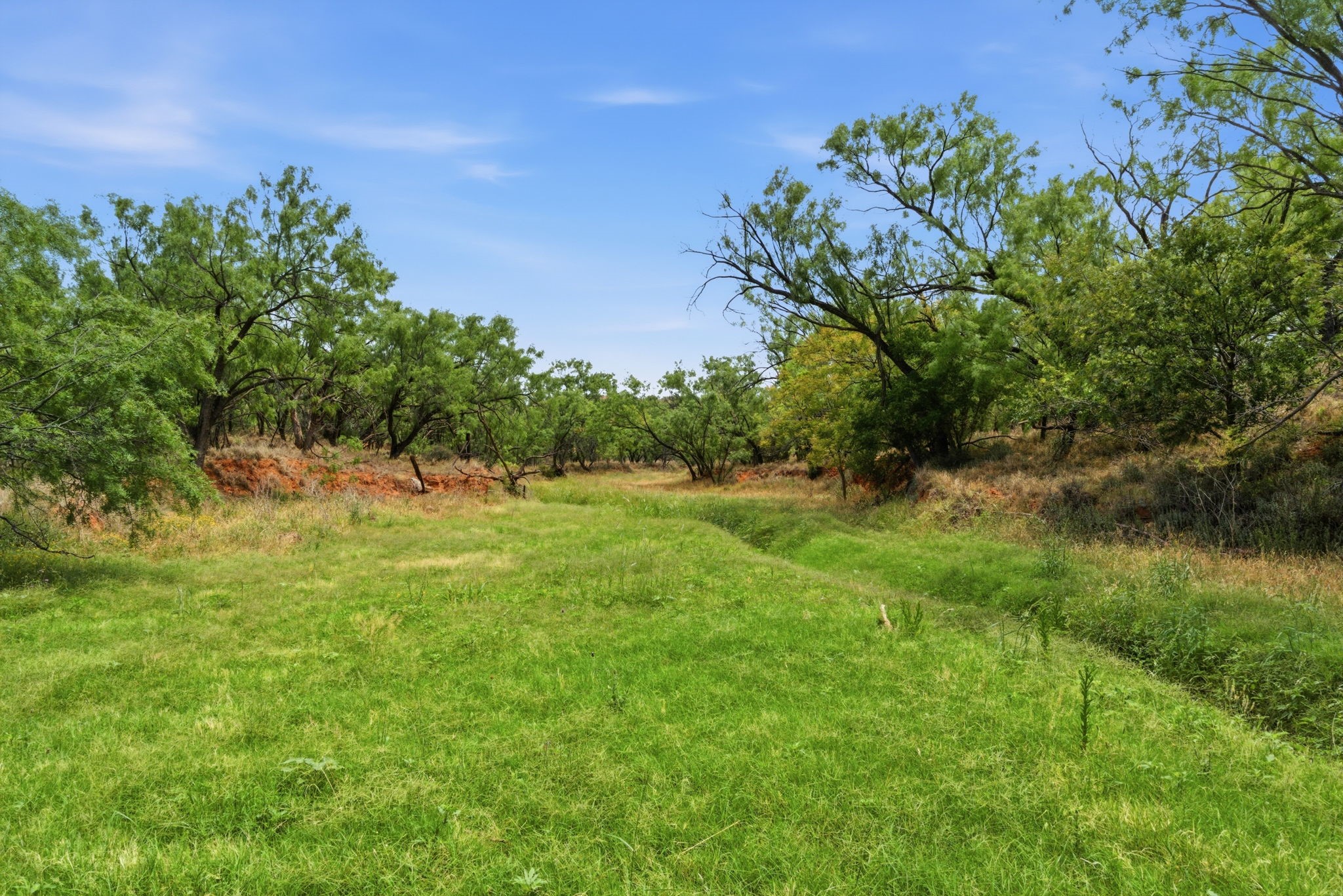 1245 County Road 349 Rotan TX 79546