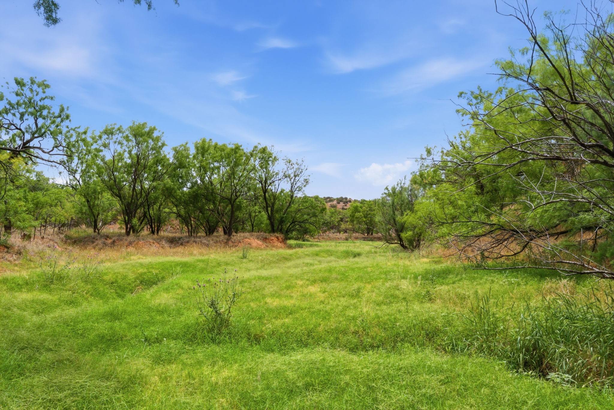 1245 County Road 349 Rotan TX 79546