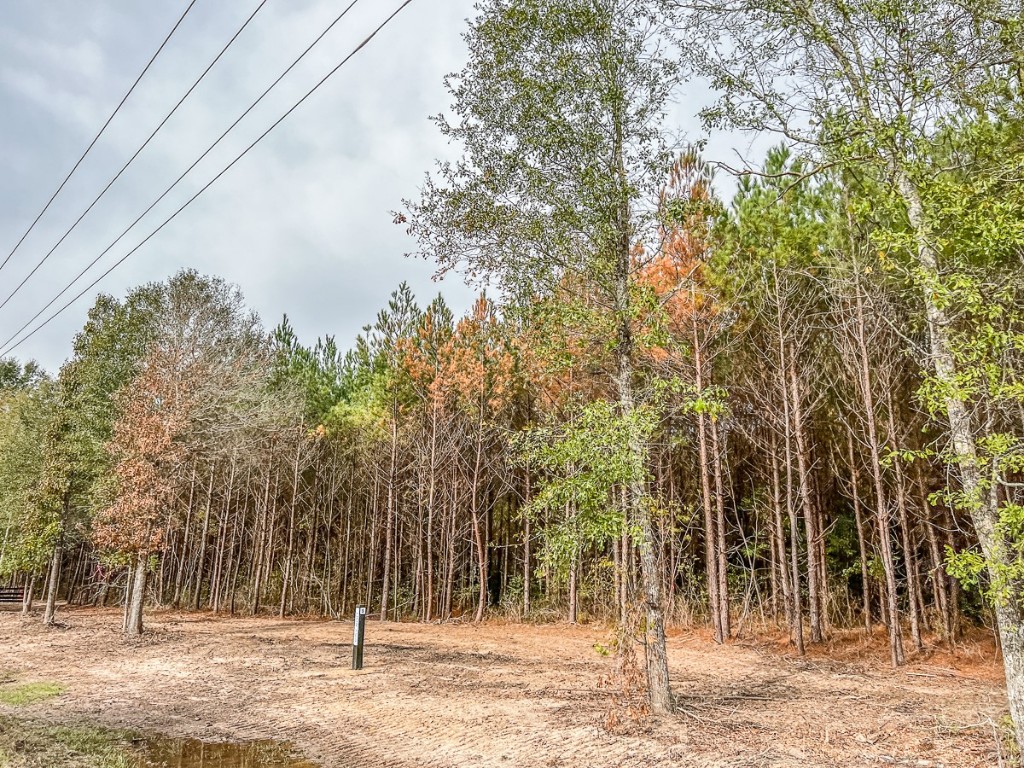 07 Cr 2305 S Cleveland TX 77327