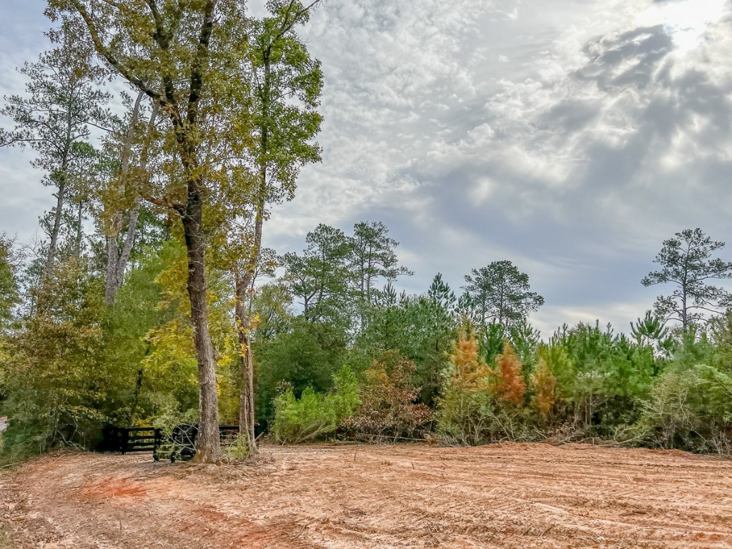 07 Cr 2305 S Cleveland TX 77327