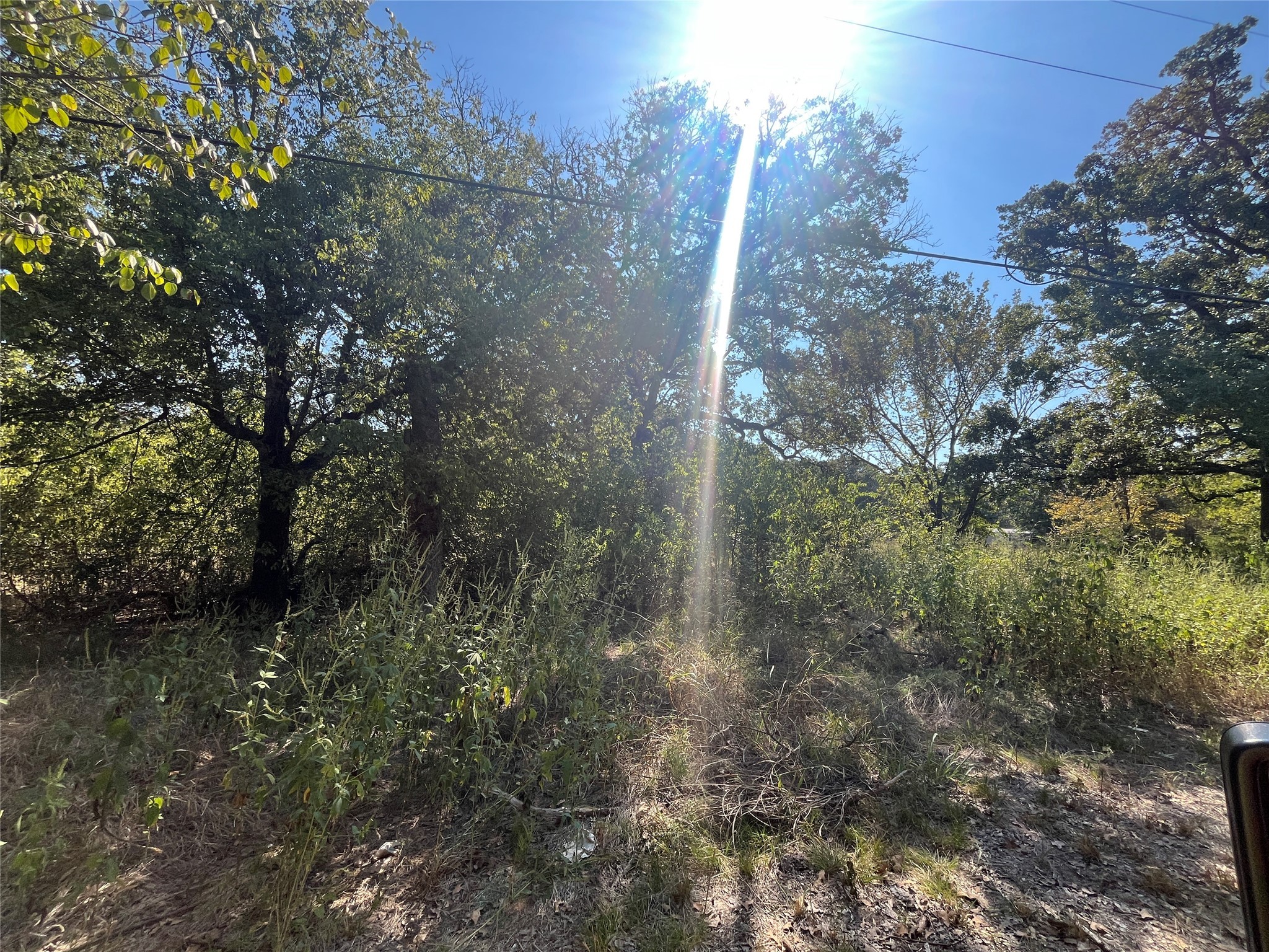 00 Pinewood Drive Hawk Cove TX 75474