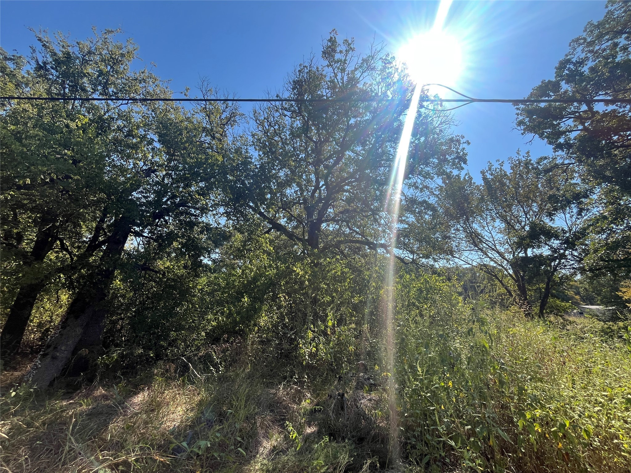 00 Pinewood Drive Hawk Cove TX 75474