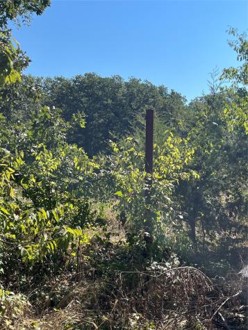 00 Pinewood Drive Hawk Cove TX 75474