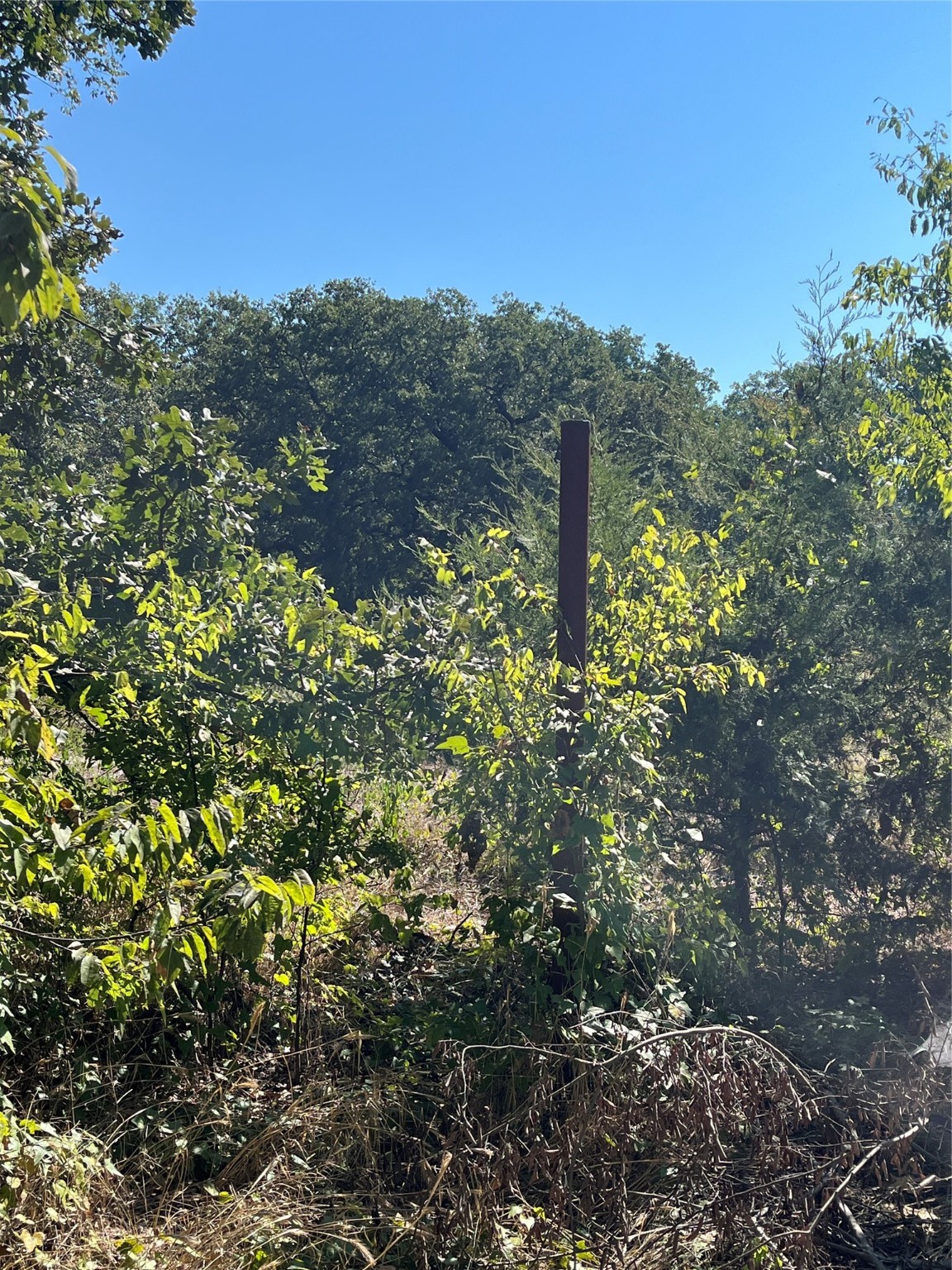 00 Pinewood Drive Hawk Cove TX 75474