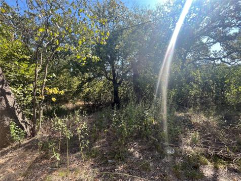 00 Pinewood Drive Hawk Cove TX 75474