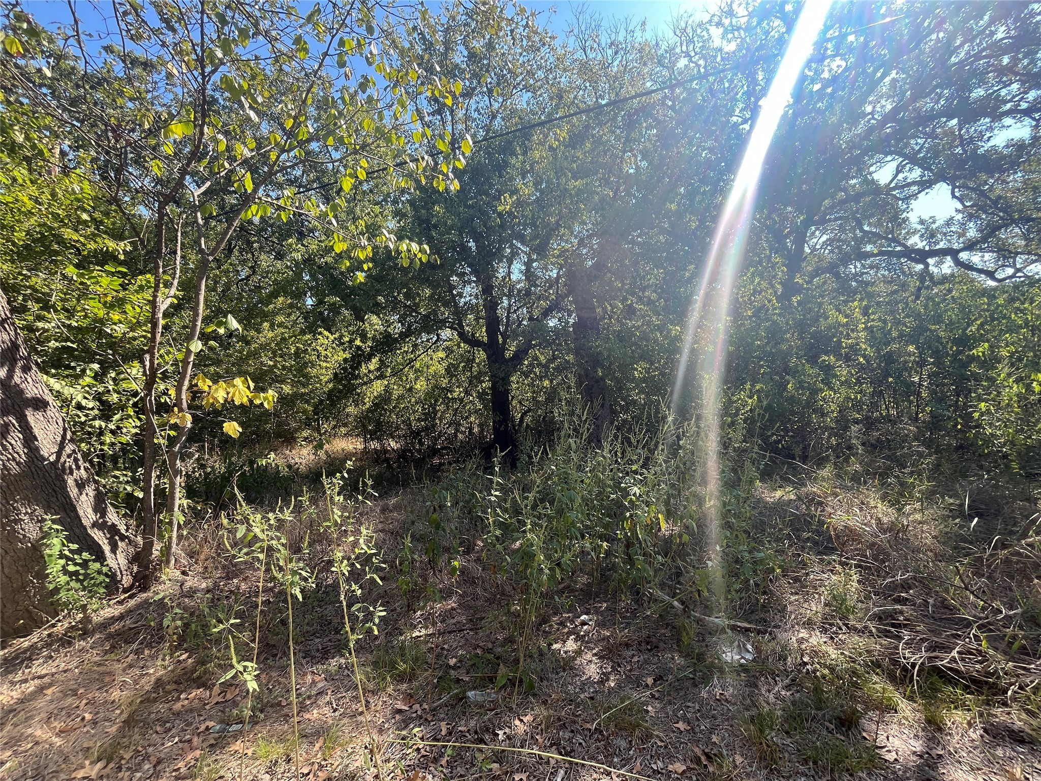 00 Pinewood Drive Hawk Cove TX 75474