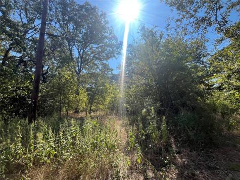 0 Pinewood Drive Hawk Cove TX 75474