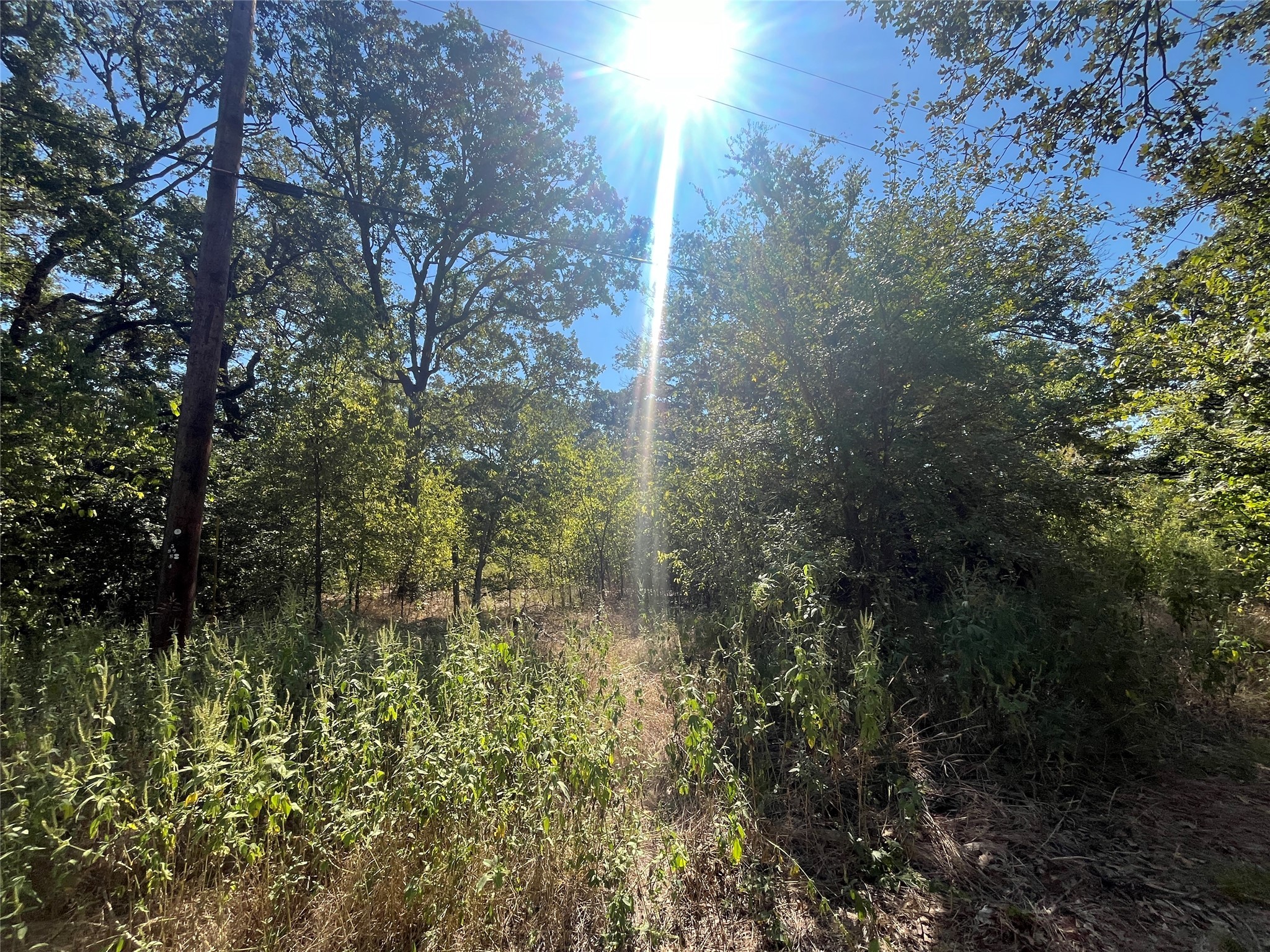 00 Pinewood Drive Hawk Cove TX 75474