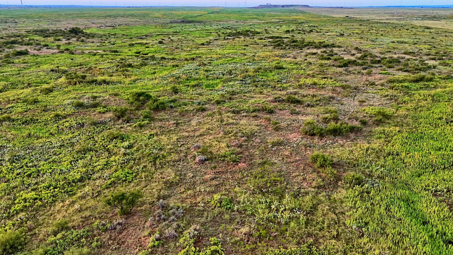 Tbd Highway 79 Archer City TX 76374