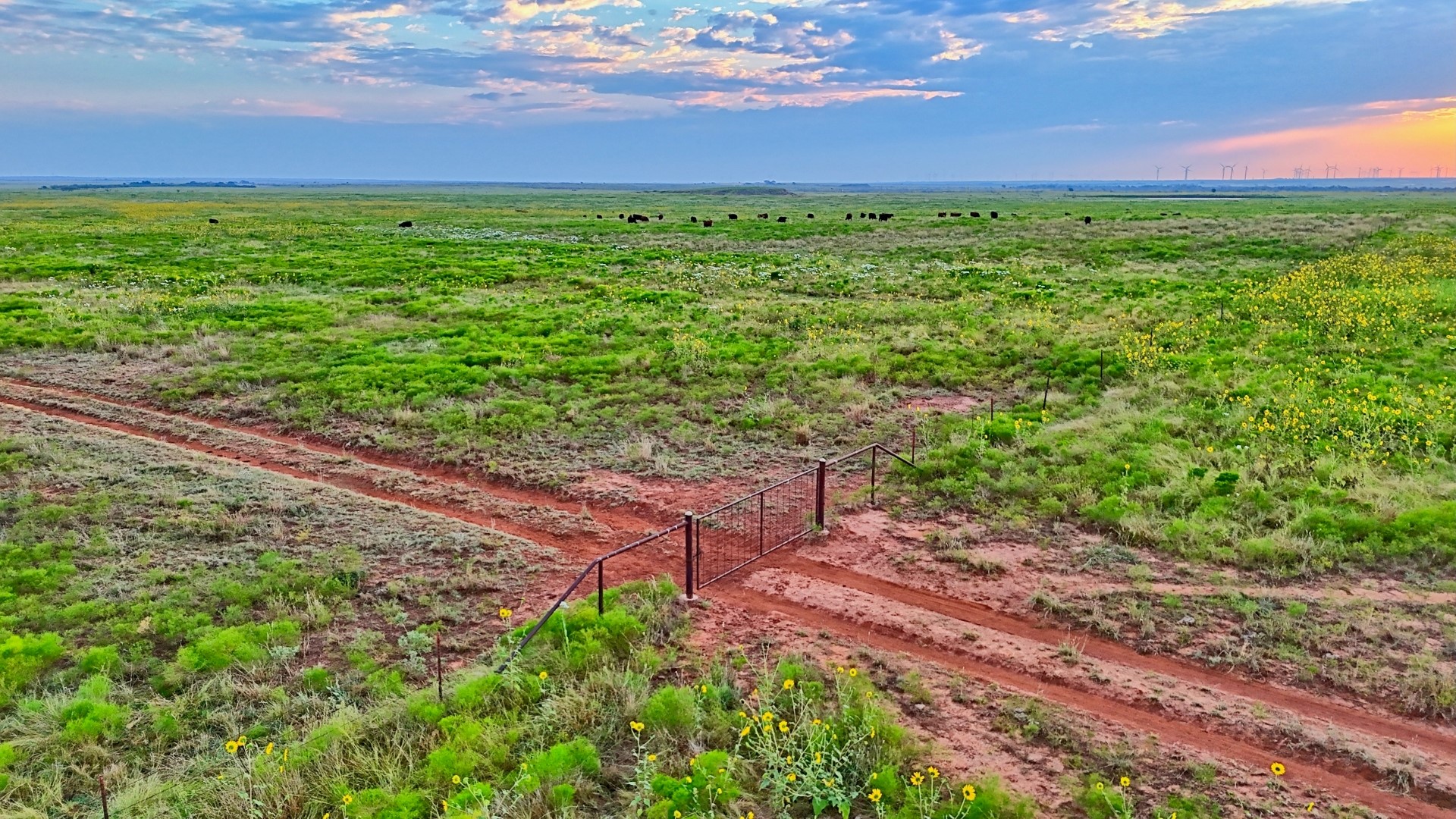 Tbd Highway 79 Archer City TX 76374
