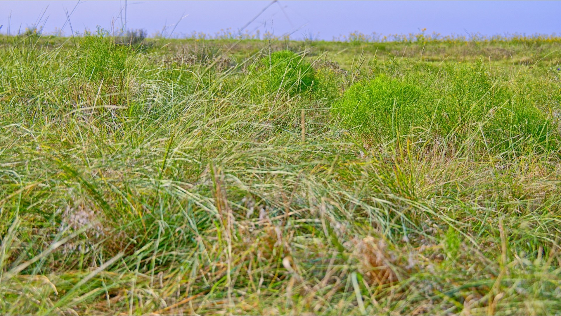 Tbd Highway 79 Archer City TX 76374