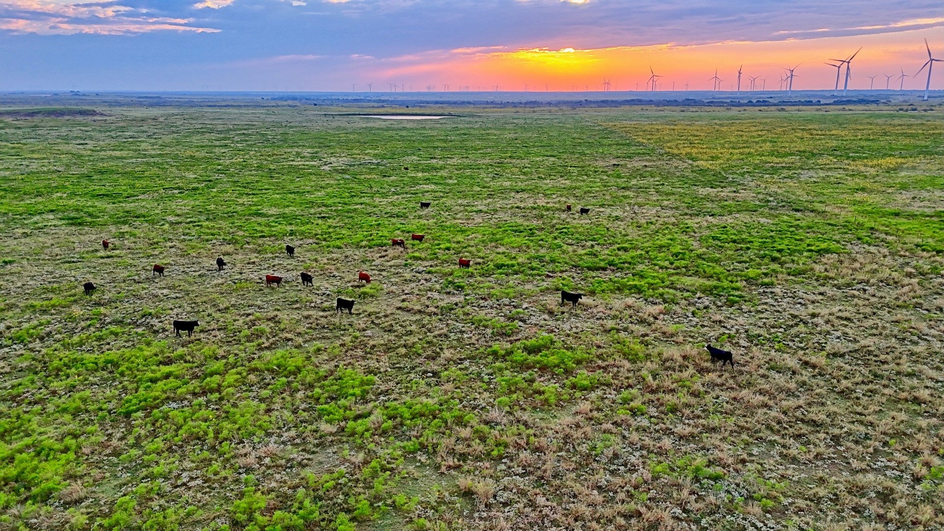 Tbd Highway 79 Archer City TX 76374