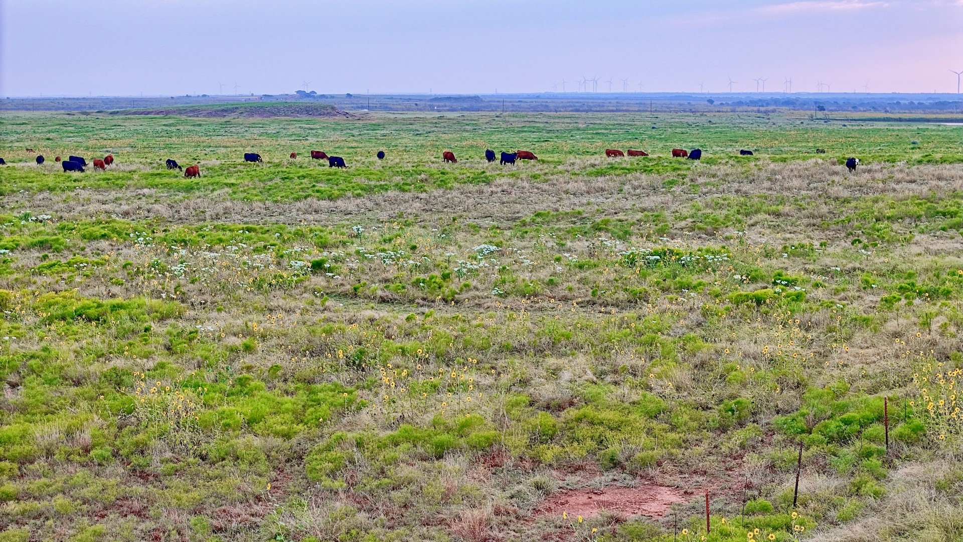 Tbd Highway 79 Archer City TX 76374