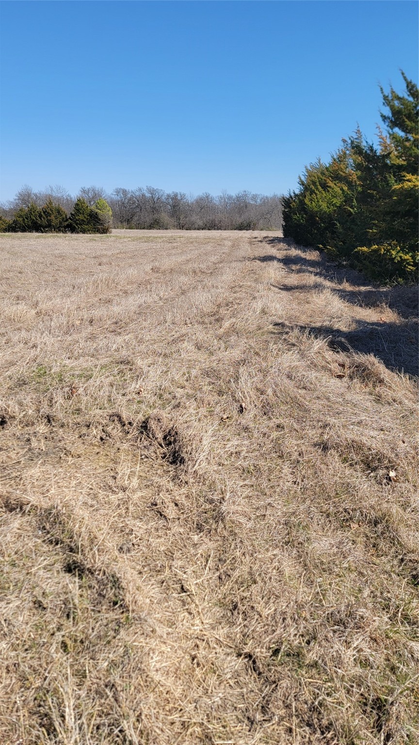 655 Ewing Road Ferris TX 75125