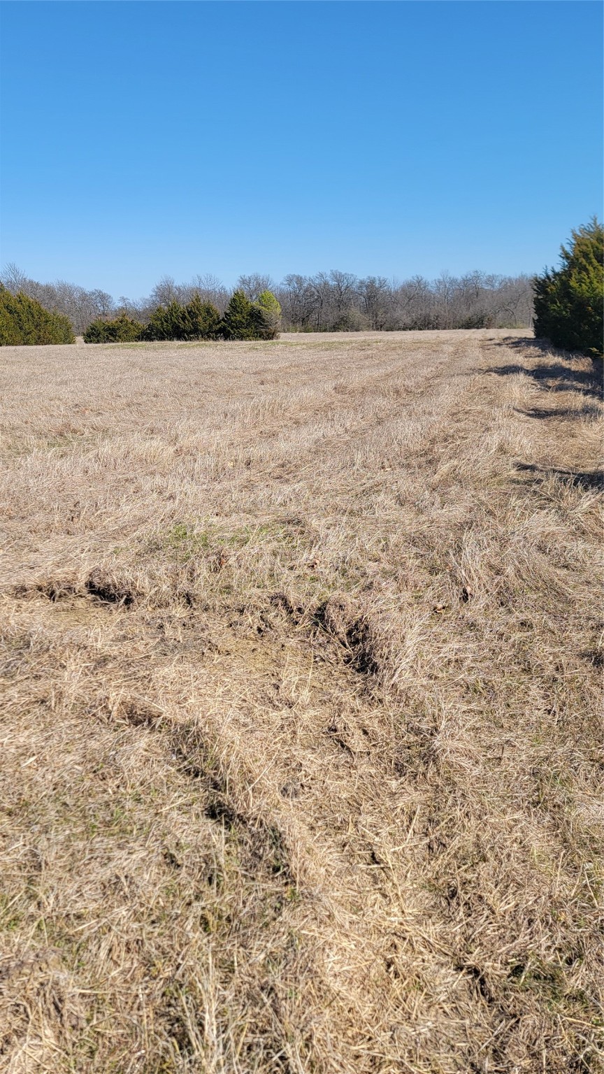 655 Ewing Road Ferris TX 75125