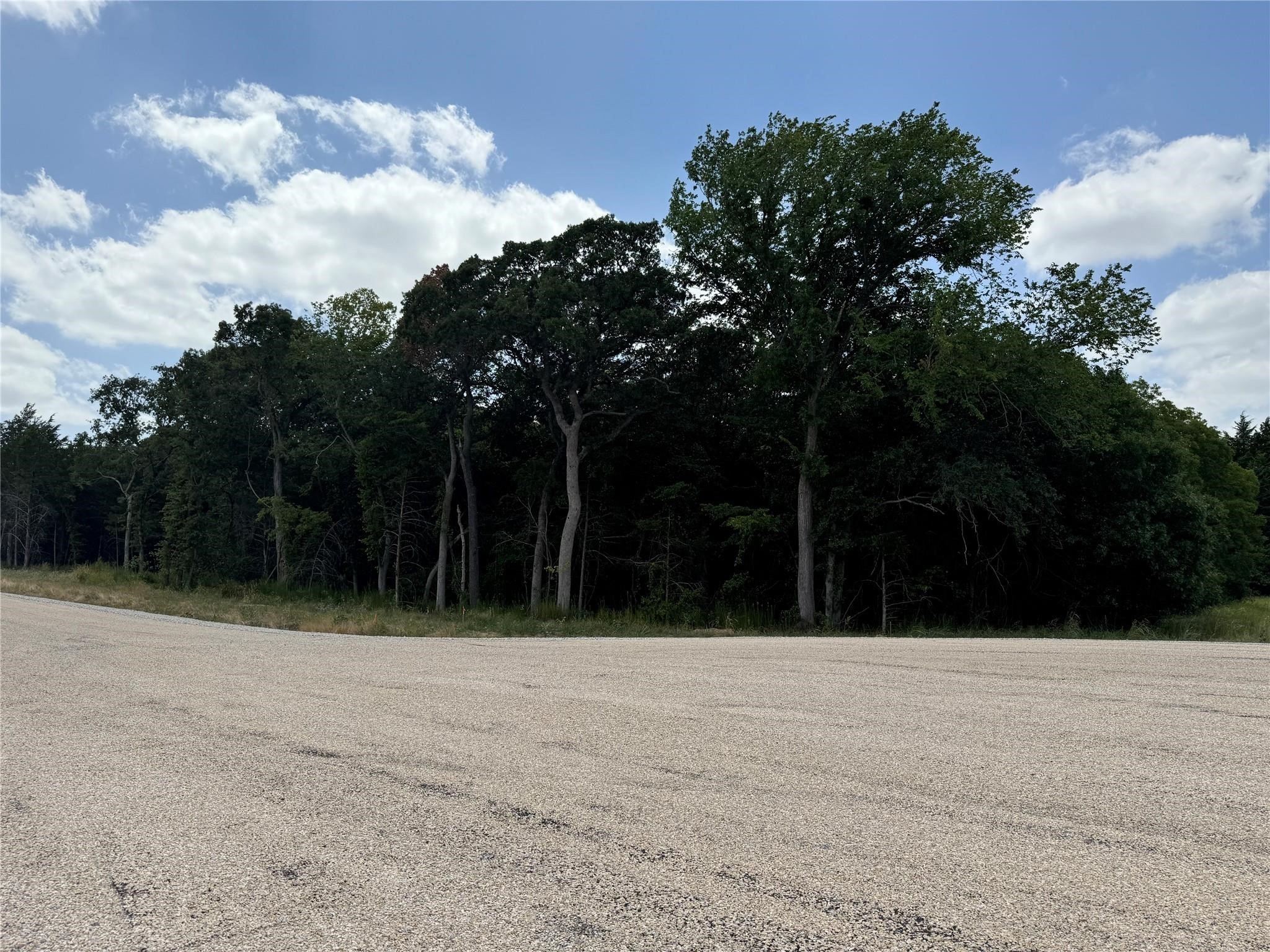 Lot 8r Cedar Springs Drive Decatur TX 76234