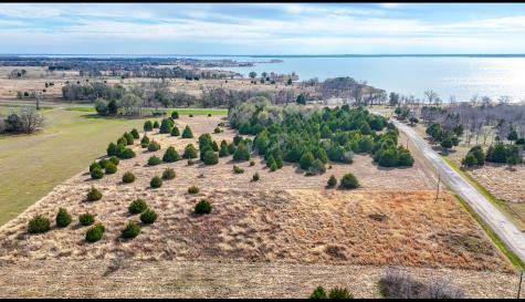 Lot 49 Baybridge Kerens TX 75144