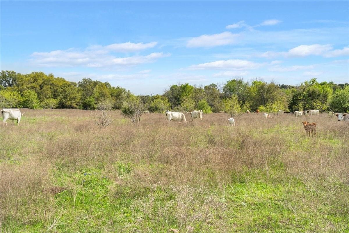 Tbd 252 Acres Dan Morgan Road China Spring TX 76633