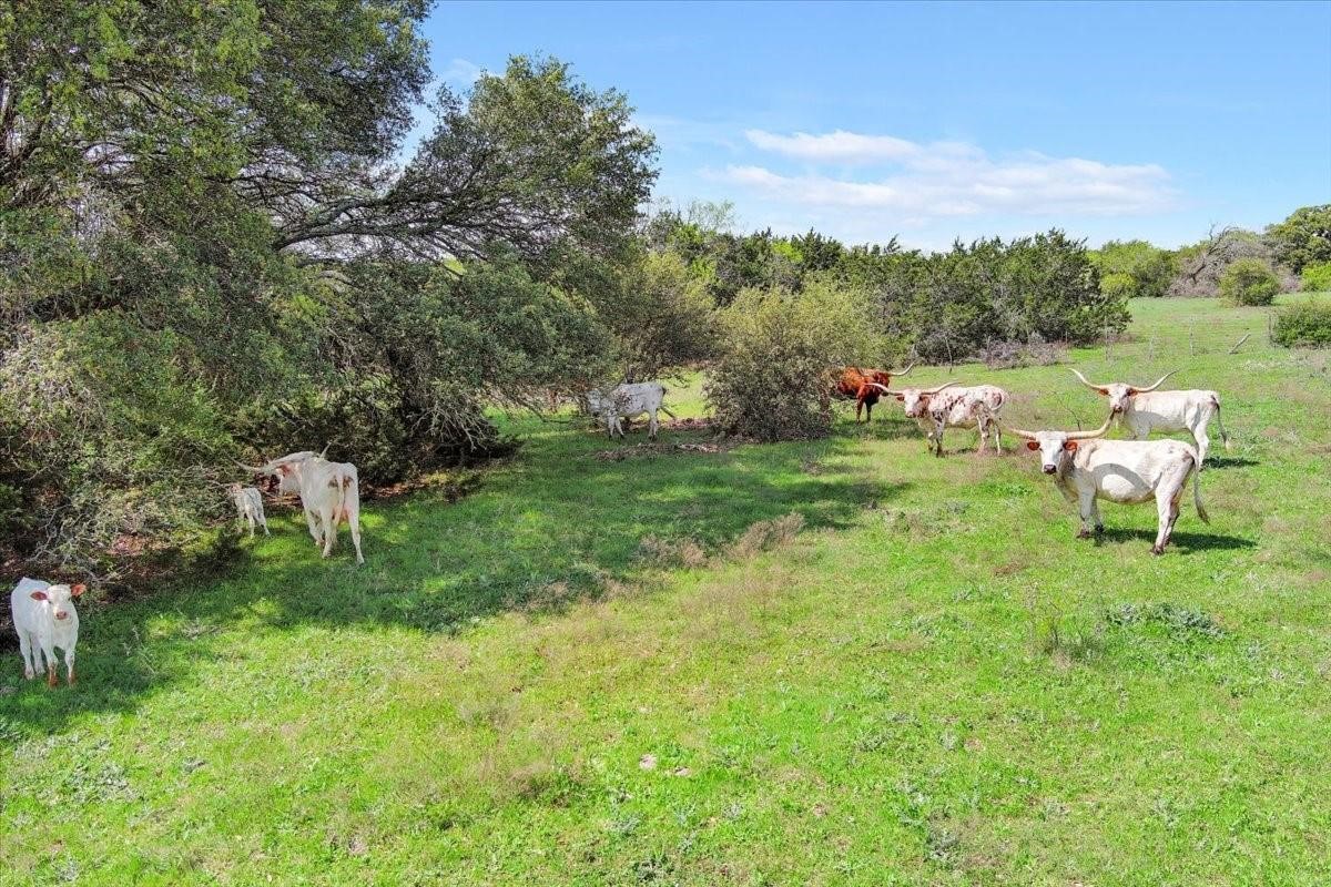 Tbd 252 Acres Dan Morgan Road China Spring TX 76633