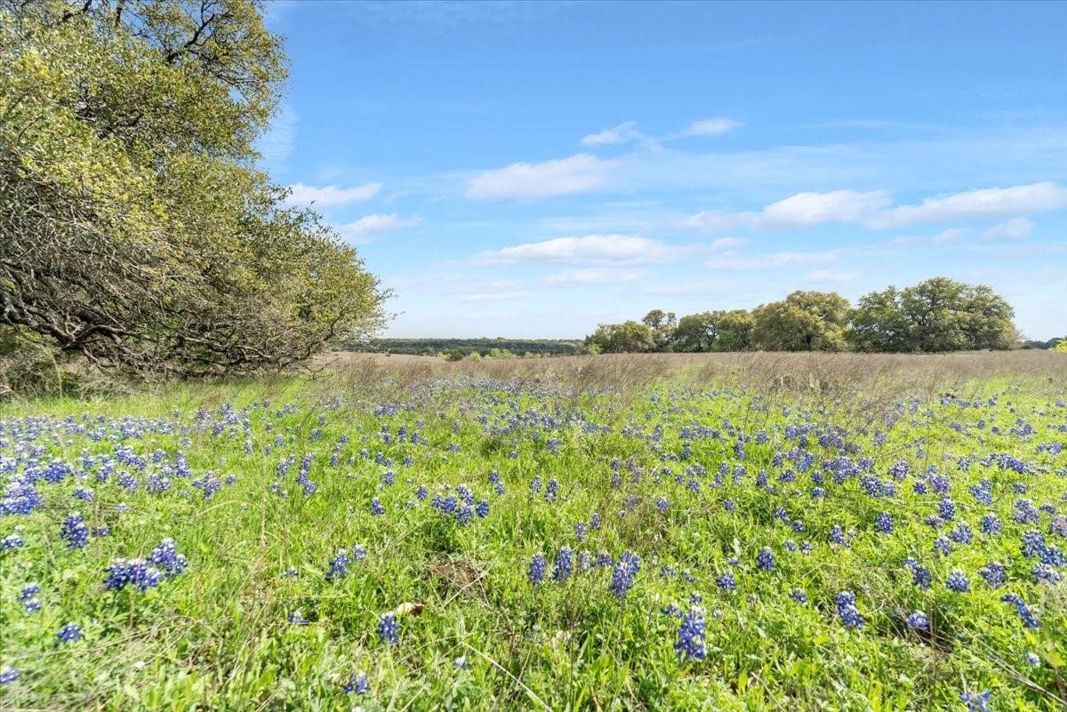 Tbd 252 Acres Dan Morgan Road China Spring TX 76633