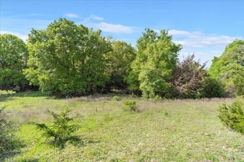 Tbd 252 Acres Dan Morgan Road China Spring TX 76633