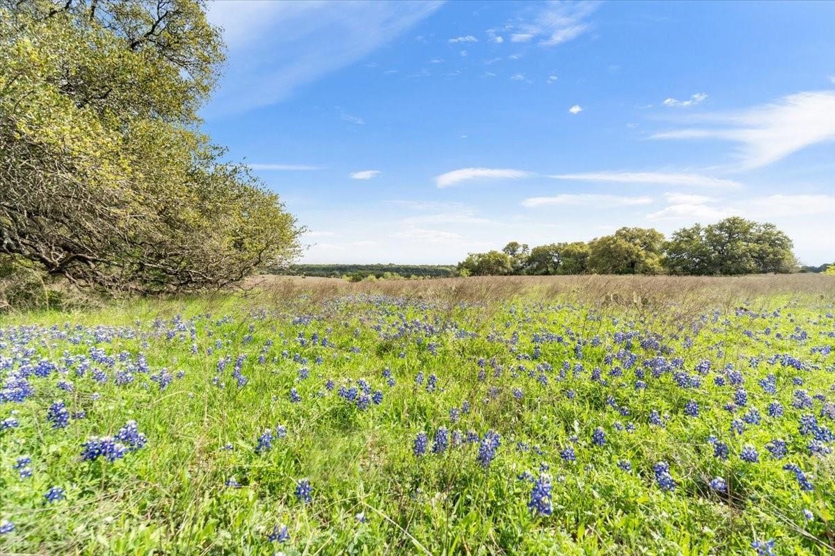 Tbd 252 Acres Dan Morgan Road China Spring TX 76633