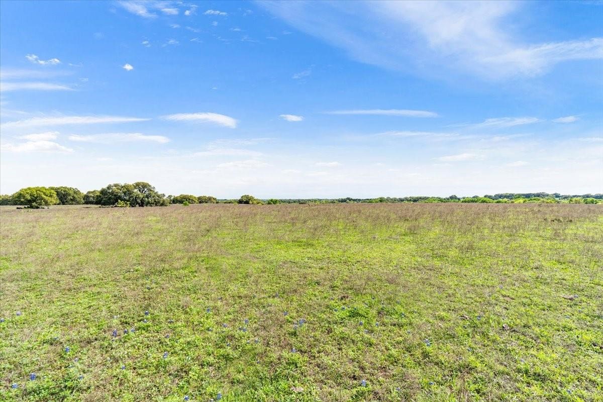 Tbd 252 Acres Dan Morgan Road China Spring TX 76633