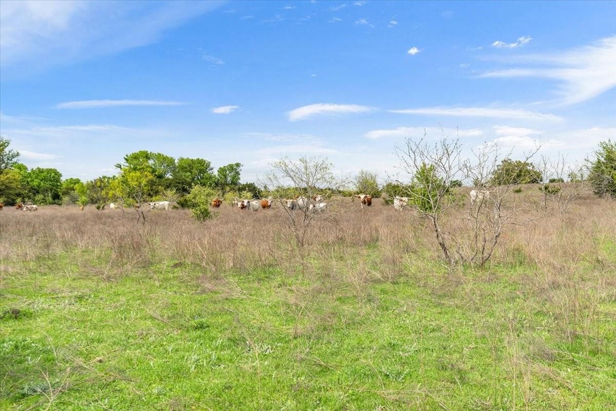 Tbd 252 Acres Dan Morgan Road China Spring TX 76633